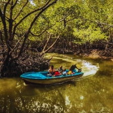 Mesmerizing Andaman with Baratang Tour